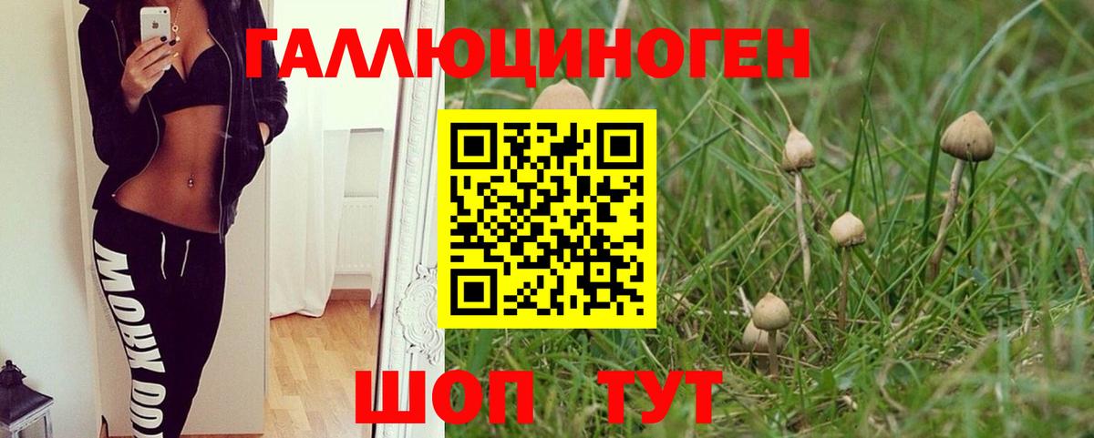 Галлюциногенные грибы GOLDEN TEACHER Гулькевичи