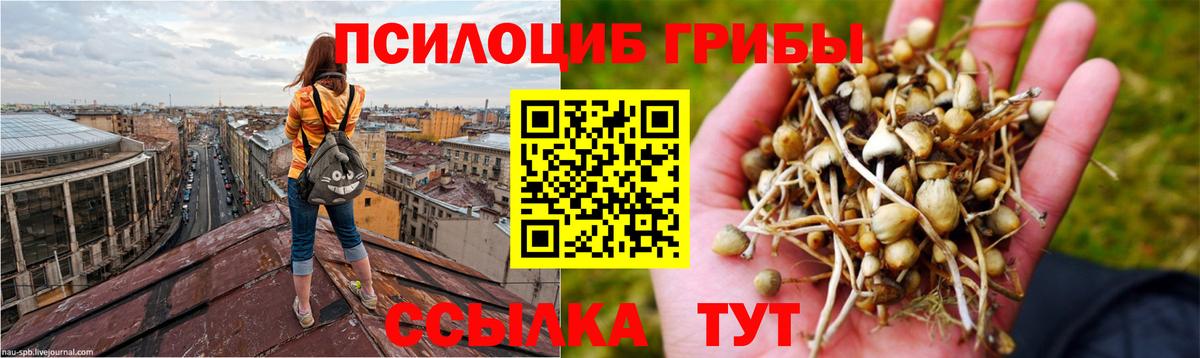 Галлюциногенные грибы Magic Shrooms  Вход с VPN  Гулькевичи 